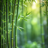 A bamboo and vibrant outdoors still life photograph