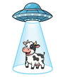 © Md - Humorous illustration of a cute cartoon cow being abducted by a flying saucer