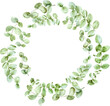 © milavas - Watercolor wreath of eucaliptus
