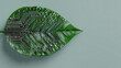 © KORANIS - A creative concept: a circuit board embedded within a green leaf, showcasing the fusion of nature and technology. The image represents eco-friendly and sustainable technology