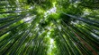 © DreamGen Works - Looking up through towering green bamboo stalks in a dense forest creates a striking natural canopy effect