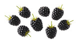 Collection of fresh ripe blackberries scattered in a pattern isolated on transparent background