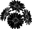 © Vectors Studio - Elegant floral design featuring delicate daisies, perfect for spring projects, weddings, and nature-inspired themes, originally a scalable vector graphic