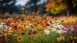 © Anastasiia - A sunny meadow filled with colorful wildflowers, predominantly yellow and orange daisies with white and magenta blossoms. Concept Sunny meadow, Colorful wildflowers, Yellow and orange daisies