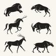 © Jahid - Collection of animal silhouettes