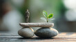 © Thamonchanok - Balancing personal life and job struggling with priorities concept. A miniature figure contemplating growth on balanced stones.