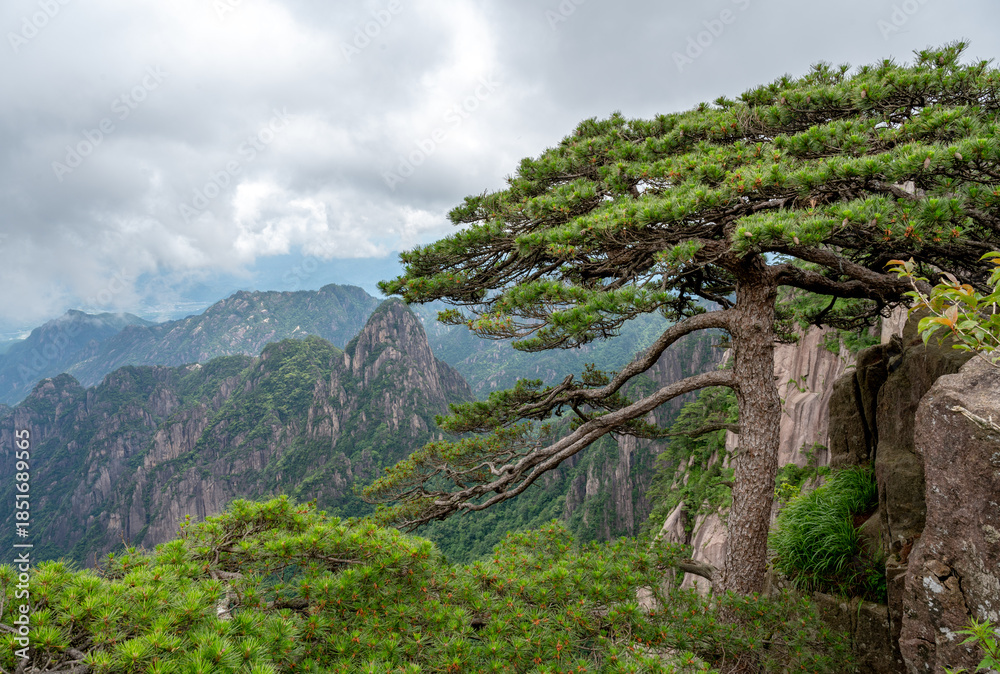Beautiful view on the trail of Mount Huangshan, gorgeous rocks and strange pine in the mountain, in Anhui Province, China.