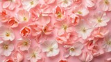 Delicate floral arrangement of pastel pink tulips on a soft pink backdrop