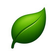 © Logo_Store - Green leaf icon isolated on transparent background