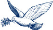 © dika - Flying dove carrying an olive branch, a powerful symbol of peace, hope, and freedom in vintage hand drawn illustration style