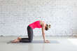 © junky_jess - Cat pose. Slim Caucasian woman practice warm-up stretching exercise standing on all fours in loft fitness studio indoor.