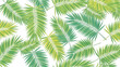 © Rizu944 - Vibrant green palm fronds arranged against a clean white background in a flat lay composition with a natural and calming mood.