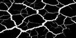 © feroj - Abstract black cracked texture with white fracture lines, resembling dry soil or shattered surface. High contrast, minimal design, sharp details, seamless pattern, clean background, studio lighting.