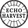© KEI KATA - Echo Harvest circular dial mark