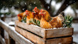 ©  VladaToday - Winter backyard scene with chickens pecking near compost bin amid falling snowflakes for seasonal farm and gardening visuals