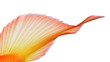 © GODSTOX - Elegant orange and yellow goldfish tail isolated PNG, flowing fin with translucent texture on transparent background for design elements