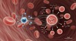 © MMerellinn - Essential iron atom combining with red blood cells for vital hemoglobin synthesis inside human vessels, actively preventing anemia, maintaining peak body function.