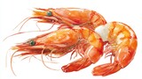 Two shrimp are positioned on a white background. The shrimp show vibrant colors and details in their shells. The image captures their shapes and features clearly.