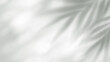 © vik_y - Summer palm leaf shadow with blurred tropical foliage silhouette on transparent background, perfect for poster layouts and spring banner templates with natural light effects