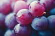 © mehaniq41 - Fresh blue grapes covered in dewdrops highlighted by soft lighting. Close-up shot gives texture details, deep colors create calming mood. Neural network AI generated