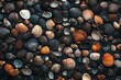© mehaniq41 - Assorted seashells scattered on dark pebbles, sunlit at sunset, rich colors forming natural art, top view. Neural network AI generated