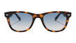 © Nicolae - Tortoiseshell sunglasses with blue gradient lenses isolated PNG, stylish eyewear for sun protection and fashion accessory on transparent background