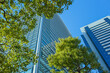 © Ray Park Stock Photo - 高層ビル　オフィス街