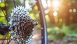 © Setyo - Close-up of bicycle gears with a blurred natural background and sun flare, highlighting the intricate mechanics of a mountain bikes drivetrain.