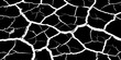 © feroj - Abstract white cracked vein pattern on deep black background, organic branching texture resembling dried earth or lightning, high contrast, minimal, clean studio lighting, seamless, Adobe Stock qualit
