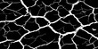 © feroj - Abstract white cracked vein pattern on deep black background, organic branching texture resembling dried earth or lightning, high contrast, minimal, clean studio lighting, seamless, Adobe Stock qualit