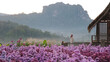 © Farknot Architect - Portrait image of a woman in a beautiful Lavender flower field with mountain in background