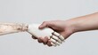 © fotofabrika - Human hand shakes robotic hand in a demonstration of partnership and technology integration