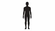 © Jame - Silhouette of a standing human figure against a white background.