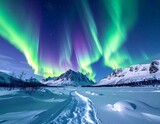 Vibrant aurora borealis illuminates snowy mountains and a clear path. Cold winter sky is filled with stars