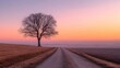 © dani - Road to horizon scenic tree landscape sunset sky background