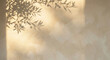 © 두호 최 - Beige limewash wall texture with soft olive branch shadow