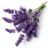 AI-generated image - A vibrant bunch of fresh lavender flowers with deep purple blooms and green stems, isolated on a white background with no shadow.