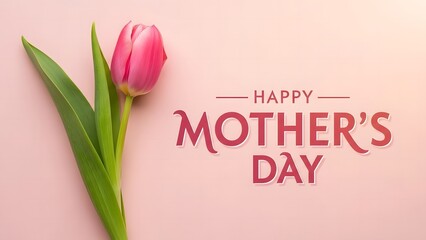  Pink Tulip And Happy Mothers Day Greeting On Soft Pink Background Keywords: mothers day, happy