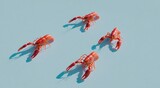 Four bright orange crawfish on a light blue background, casting sharp shadows