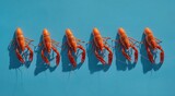 Six cooked crustaceans line up, casting sharp shadows, on a bright, teal background