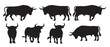 © aiobw - six silhouettes of powerful spanish bulls
