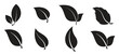 © aew - set of isolated icons on a theme leaves