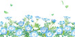 © Keiko Takamatsu - 春の花：ネモフィラの水彩イラスト　春のボトム装飾フレーム背景