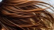 © oowings - Close-up of Long Wavy Brown Hair Blowing in the Wind, Showing Texture and Movement