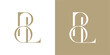 © Hikmat Studios - BL Letter Monogram Logo Design Vector , Initial Logo Vector for Brand Company