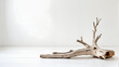 ©  BluE Pic - Dry wooden branch or driftwood isolated on white floor and background, natural rustic decoration element, minimalism art concept.