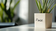 © photo for everything - Green indoor plant in a white pot with the word 'Pause' written on the side, symbolizing mindfulness and taking breaks amidst a busy day. Minimalist home decor.