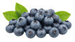 © Elena - Pile of fresh blueberries isolated PNG, ripe and juicy fruit with green leaves on transparent background, healthy eating and antioxidant source