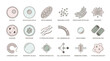© Irfan - Explore cellular biology with this informative illustration of cell structures, ideal for educational materials, scientific presentations, and biology textbooks design