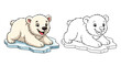 © Shahid - Playful Polar Bear on Ice: A charming cartoon of a polar bear cub lying on an ice floe. Capturing the innocence of this adorable arctic mammal with two different version.